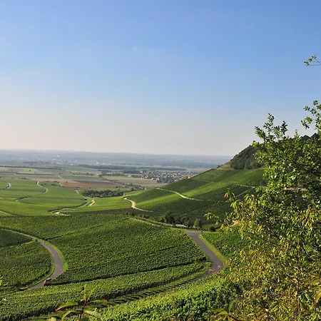 Hotel Romantik Zehntkeller Iphofen