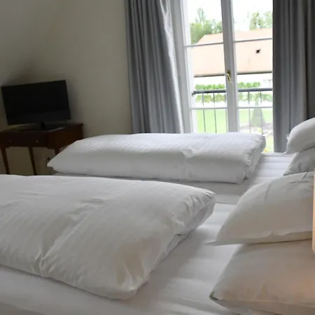 Romantik Zehntkeller Hotel 3*